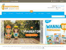Tablet Screenshot of professionalusb.com